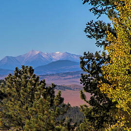 Colorado Vista by Alana Thrower