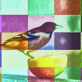 Colorful Bird and Fruit Pop Art  by Shelli Fitzpatrick