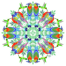 Colorful Bird Collection Mandala by Tim Phelps