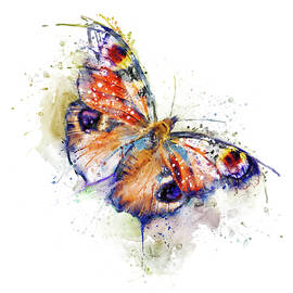 Colorful Butterfly by Marian Voicu