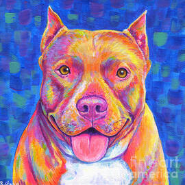 Colorful Pitbull Dog