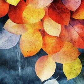 Colorful Fall Leaves by Matthias Hauser