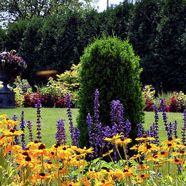 Colorful Garden Beauty by Rick Hansen