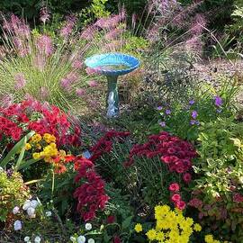 Colorful Mum Garden and Bird Bath in North Carolina  by Catherine Ludwig Donleycott