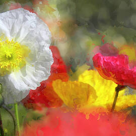 Colorful Poppies by Donna Kennedy