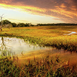 Colors over the Marsh by Debra and Dave Vanderlaan