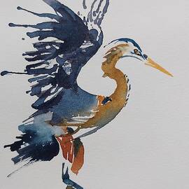 Coming In by Amanda Amend