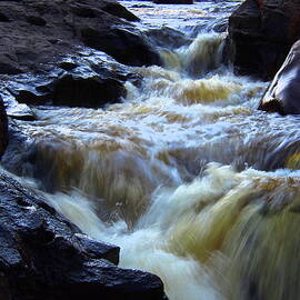 Convergence on the Temperance River by Tom Halseth