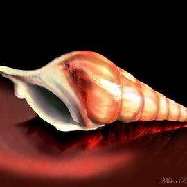 Coppery Auger- Seashell by Allison Griffin