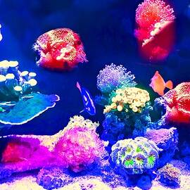 Coral Corral by Diana Angstadt