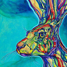 Cosmic Rabbit by Derrick Higgins