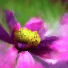 Cosmos by Ursula Abresch