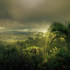 Costa Rica San Ramon Mountain Vista by Norma Brandsberg