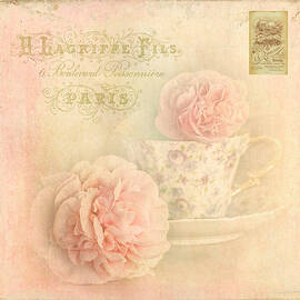 Cottage Chic Pink Rose 11 by HB Lee