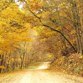 Country Road in Autumn  by Lori Frisch
