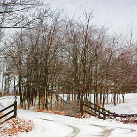Country road in the snow by Tatiana Travelways