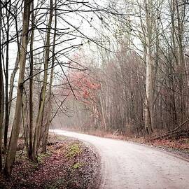 Country Road on a Misty Afternoon #2 by Slawek Aniol