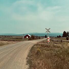 Country Road Railroad Crossing by Collin Westphal