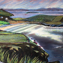 County Donegal, Irish Cove by Shirley Galbrecht