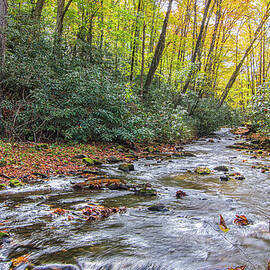 Cove Creek - Cataloochee Valley - Smoky Mountains by Bob Decker