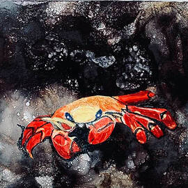 Crab on the Rocks by Mary Cacciapaglia