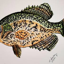 Crappie #1 by Terry Feather