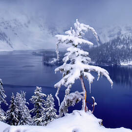 Crater Lake Trees by Christopher Johnson