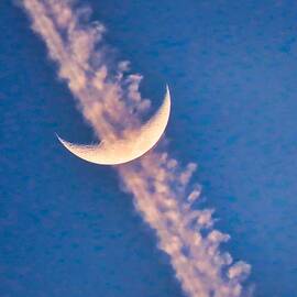 Crescent in Contrail by Judy Kennedy