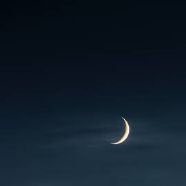 Crescent Moon by Wim Lanclus