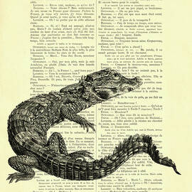 Alligator Mixed Media