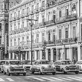  Cuban Races Black And White by Paul Thompson