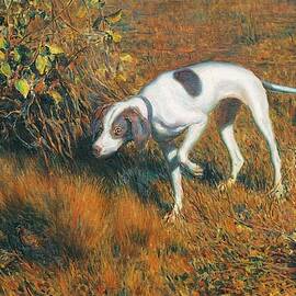 Cuca Parando una Codorniz  Cuca Retrieving a Quail  by Master Style