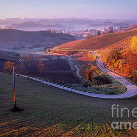 Curves, Canale, Piemonte, Italy by Kim Petersen