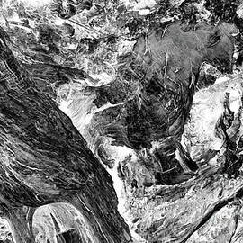 Cut olive wood, Lefkada, monochrome inverted by Paul Boizot