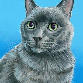 Cute Gray Kitty Cat by Rebecca Wang