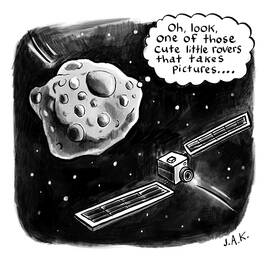 Cute Little Rover by Jason Adam Katzenstein