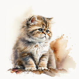 Cute Persian Kitten  by Laura's Creations