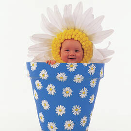 Daisy Flowerpot by Anne Geddes