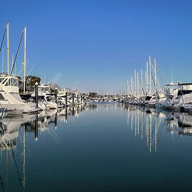 Dana Point Harbor Winter by Rebecca Herranen