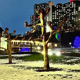 Dancing in snow by Neelakshi Misha