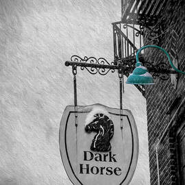 Dark Horse by Cathy Kovarik