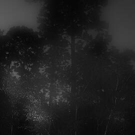 Dark Looming Blur, Black and White by Adrienne Hantz Kelley