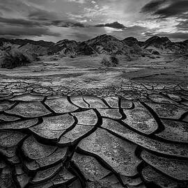 Death Valley Mud Tiles  by Alinna Lee