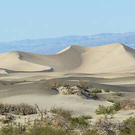 Death Valley National Park - Mesquite Sand Dunes I by Patti Deters