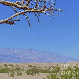 Death Valley NP by Connie Sloan