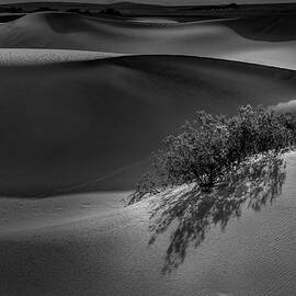 Death Valley View by Mike Montalvo