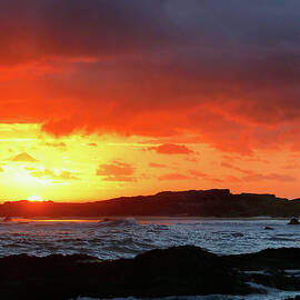 Declaration by Nicholas Blackwell