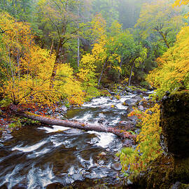 Deer Creek Autumn Splendor by Mike Lee