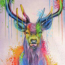 Deer Splash Colors by Ivan Negrete