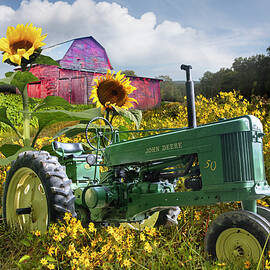 Deere in the Sunflower Fields by Debra and Dave Vanderlaan